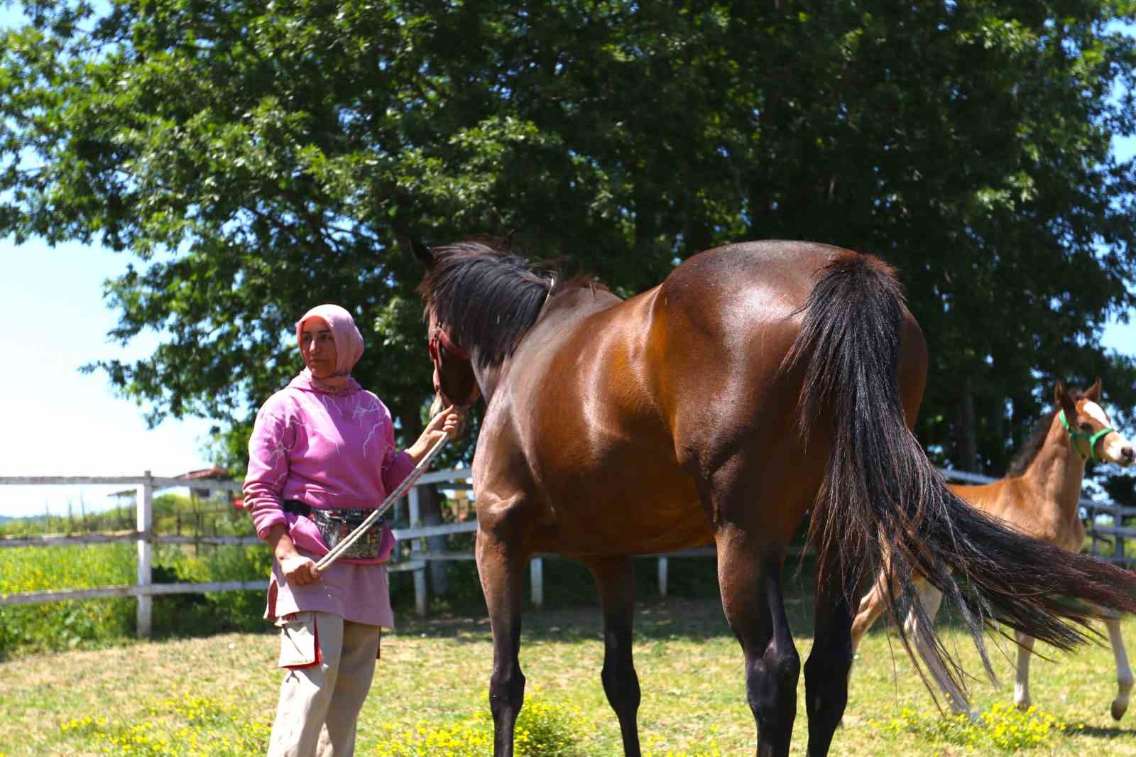 Milyonluk atları büyüttü, yarışlarını nefesini tutup izliyor
