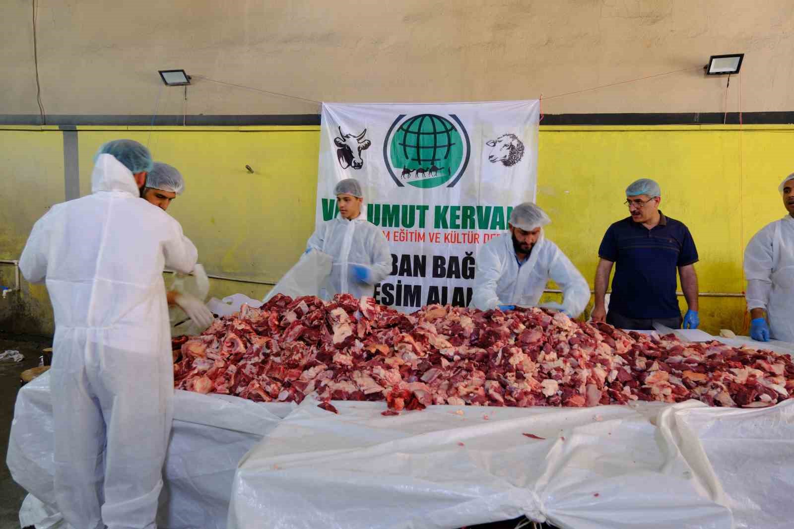 Van’da geleneksel toplu kurban kesimi