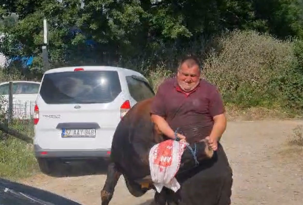 Sinop&rsquo;ta kurbanlık ka&ccedil;tı, k&ouml;yde kısa s&uuml;reli panik yaşandı
