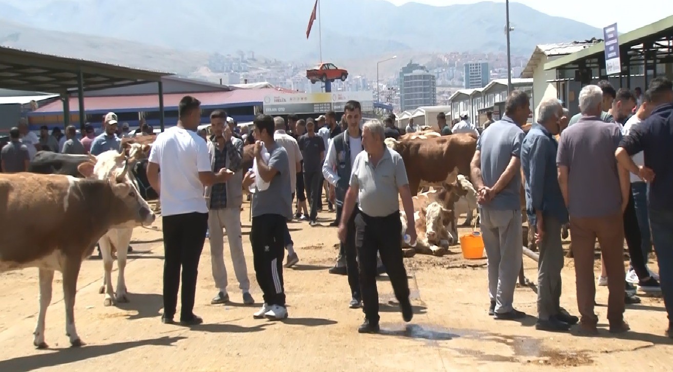 Malatya Canlı Hayvan Pazarı’nda bayram yoğunluğu