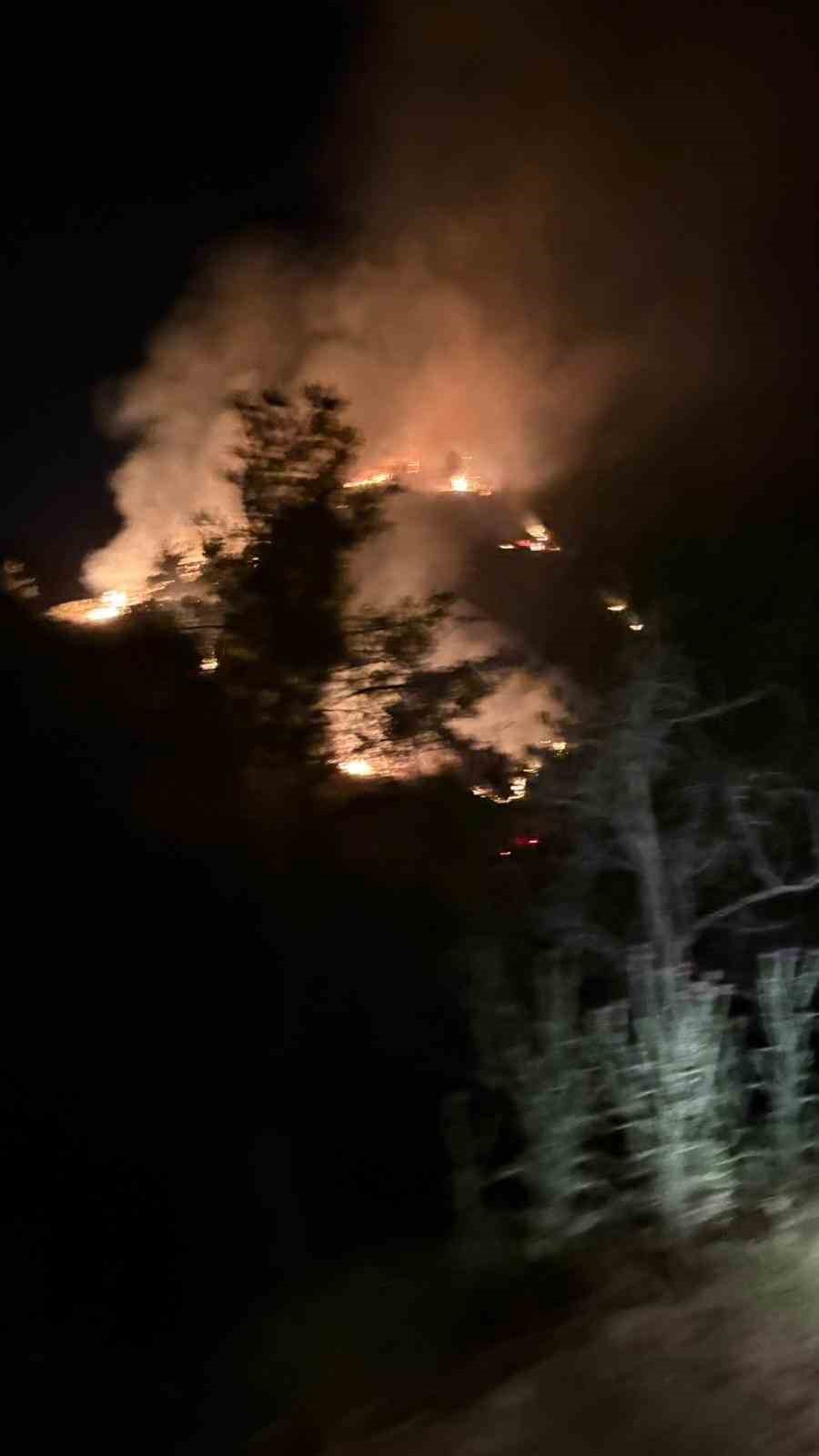 Nazilli’deki orman yangını kontrol altına alındı