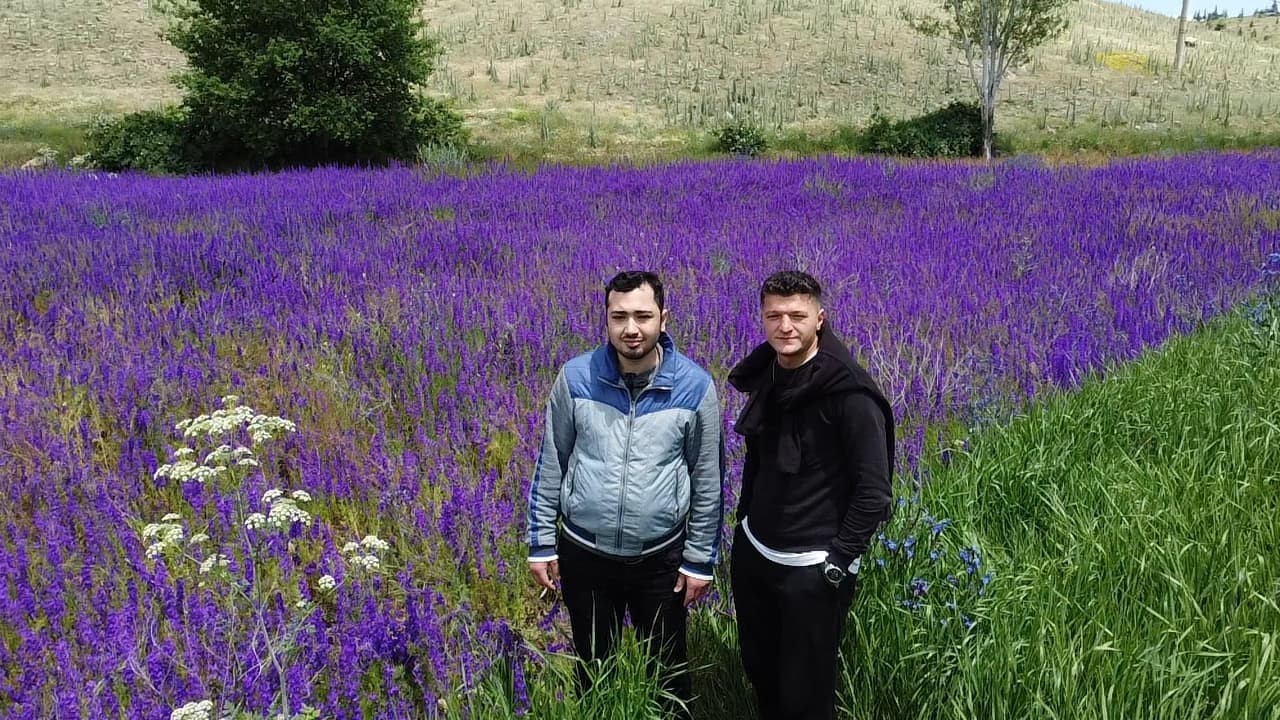 Fotoğraf meraklılarının yeni gözdesi ’hanımeli çiçeği’ tarlaları
