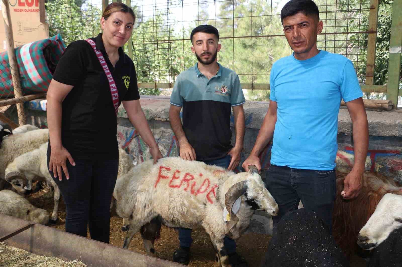 Bayramın ikinci gününde kurban pazarlarında yoğunluk devam ediyor

