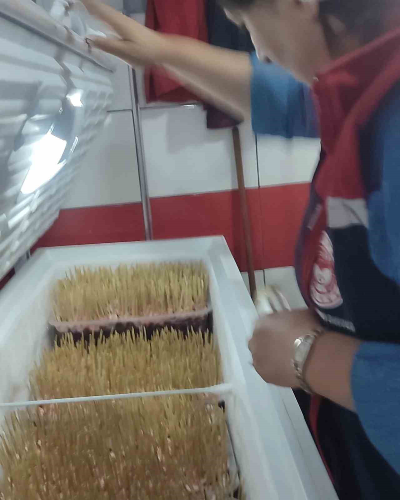 Aydın’da çöp şiş ve et ürünlerine sıkı denetim
