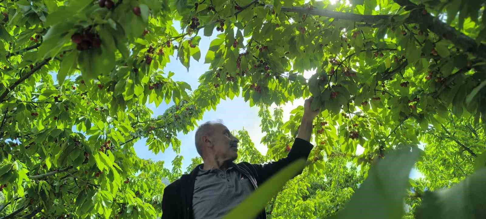 Doğayla iç içe lezzetli bir deneyim