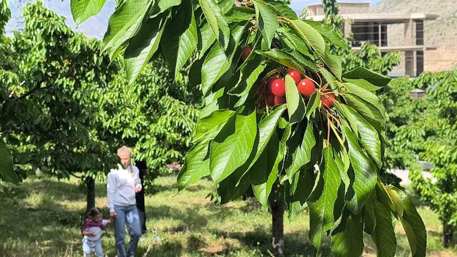 Doğayla i&ccedil; i&ccedil;e lezzetli bir deneyim
