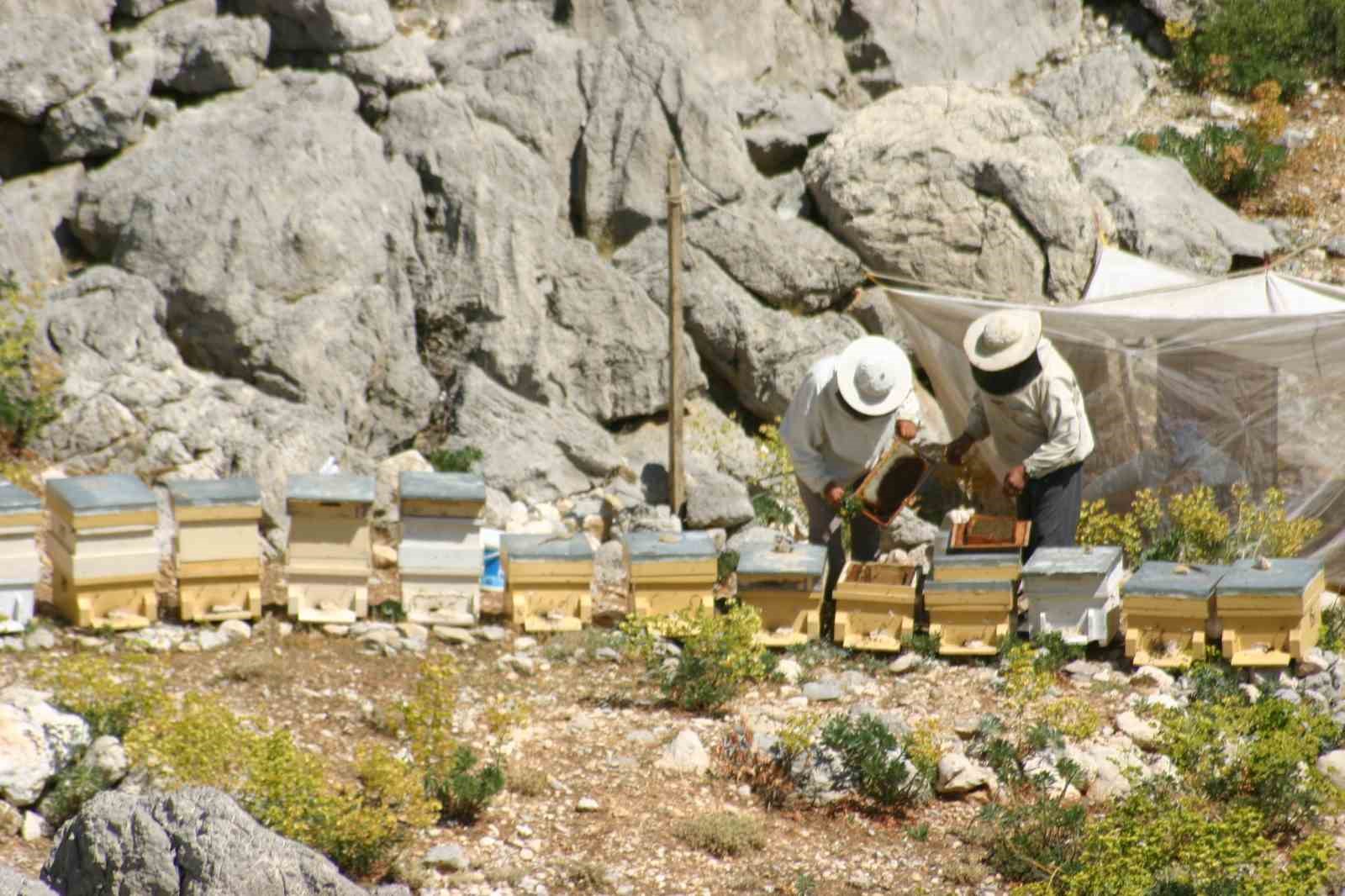 Antalya&rsquo;da arıcılar kara kovanlarını y&uuml;ksek kesimlerdeki yaylalara &ccedil;ıkardı
