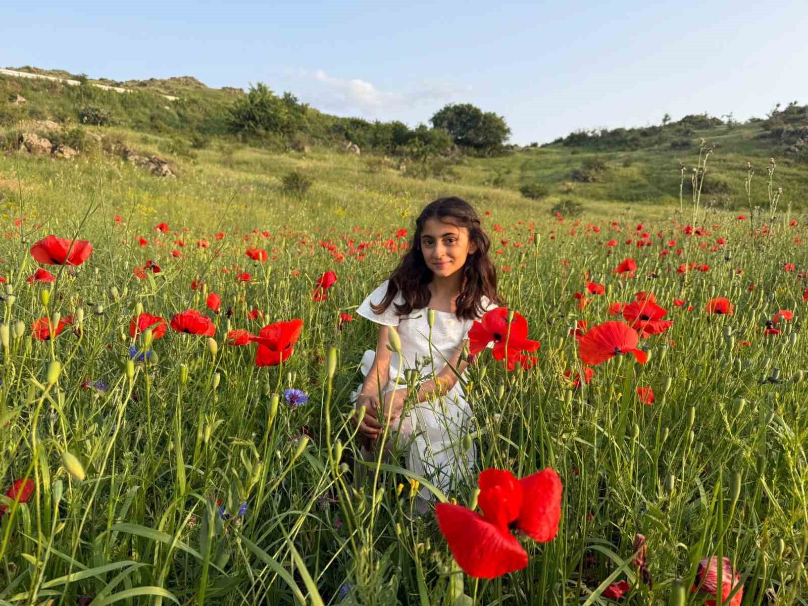 Iğdır’da gelincik tarlaları görsel şölen sunuyor