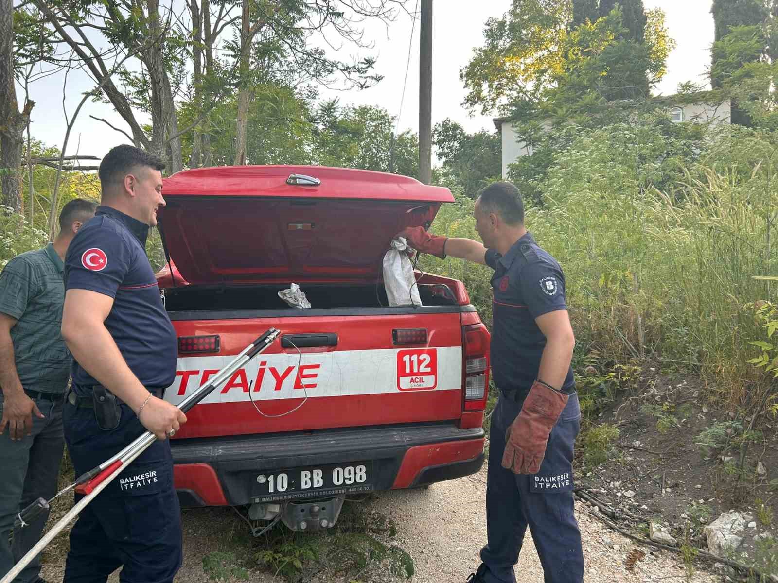 Bayramda engerek mesaisi