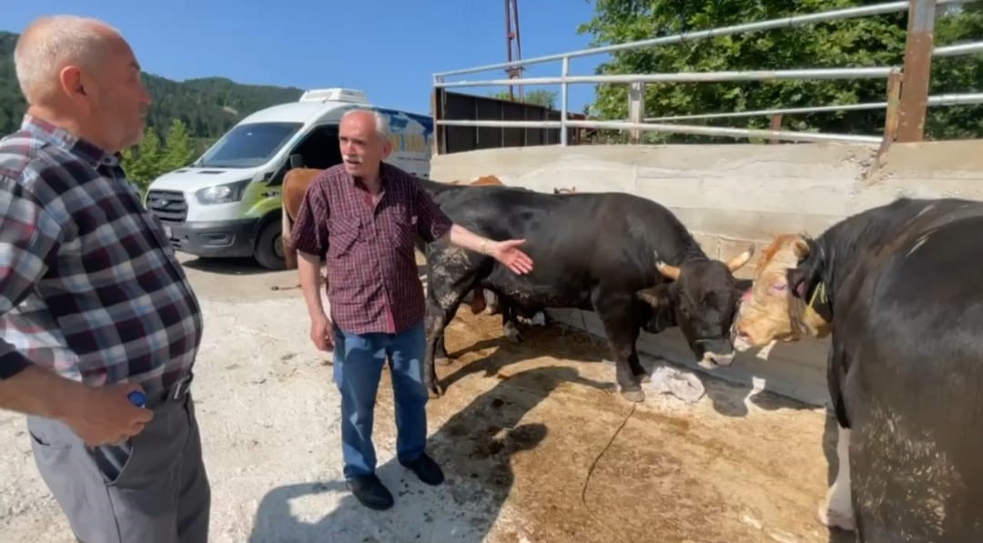 Bartın&rsquo;da kurbanlar dualarla kesildi
