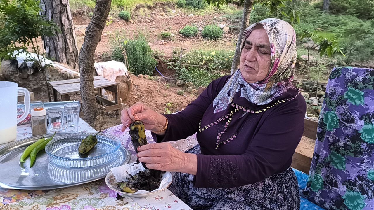 Bayram tatilinde sıcaktan ka&ccedil;an vatandaşlar, Zorkun Yaylası&rsquo;nda serinledi
