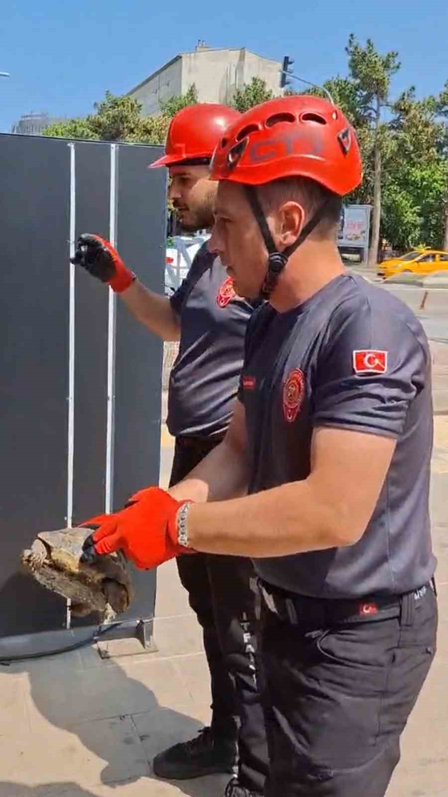 Kırıkkale&rsquo;de cam korkuluk ile zemin arasına sıkışan kaplumbağayı itfaiye kurtardı
