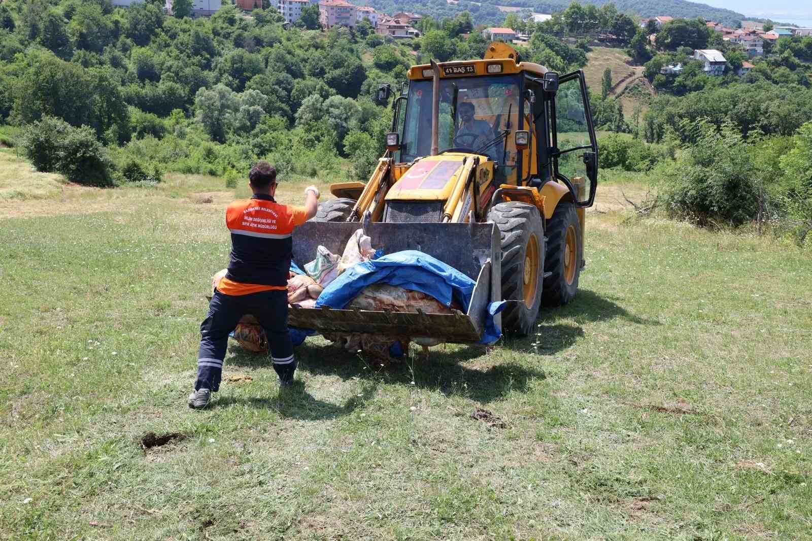 Başiskele&rsquo;de kurban atıkları toplanıyor
