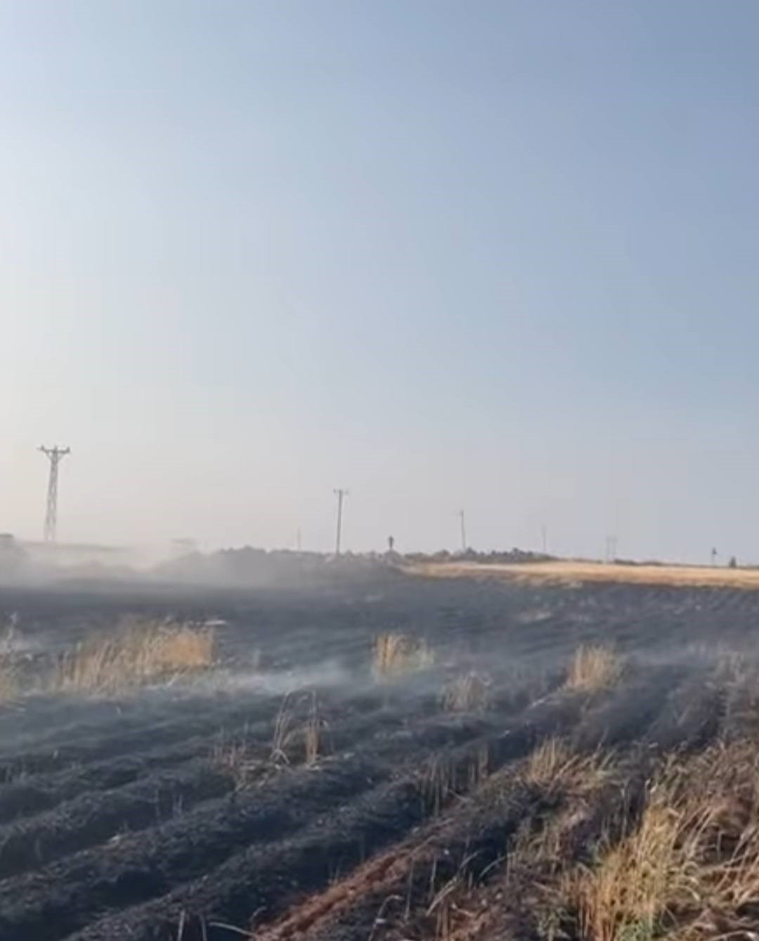 Şanlıurfa’da buğday tarlası küle döndü