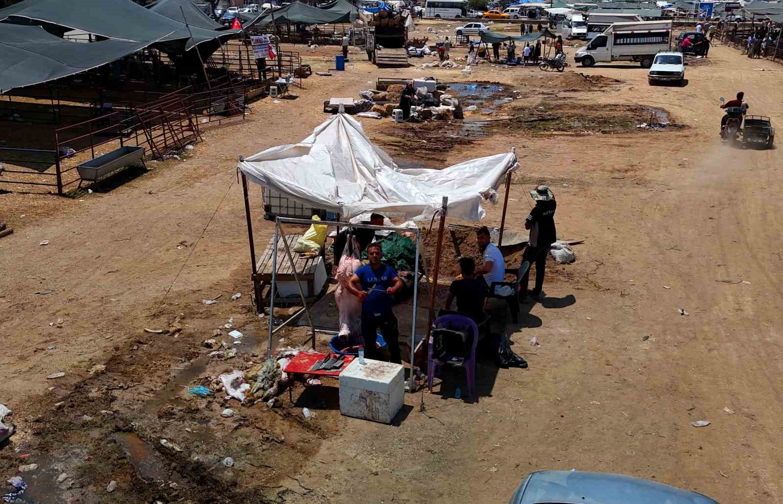 Kurbanlık fiyatları yüzde 40 düştü