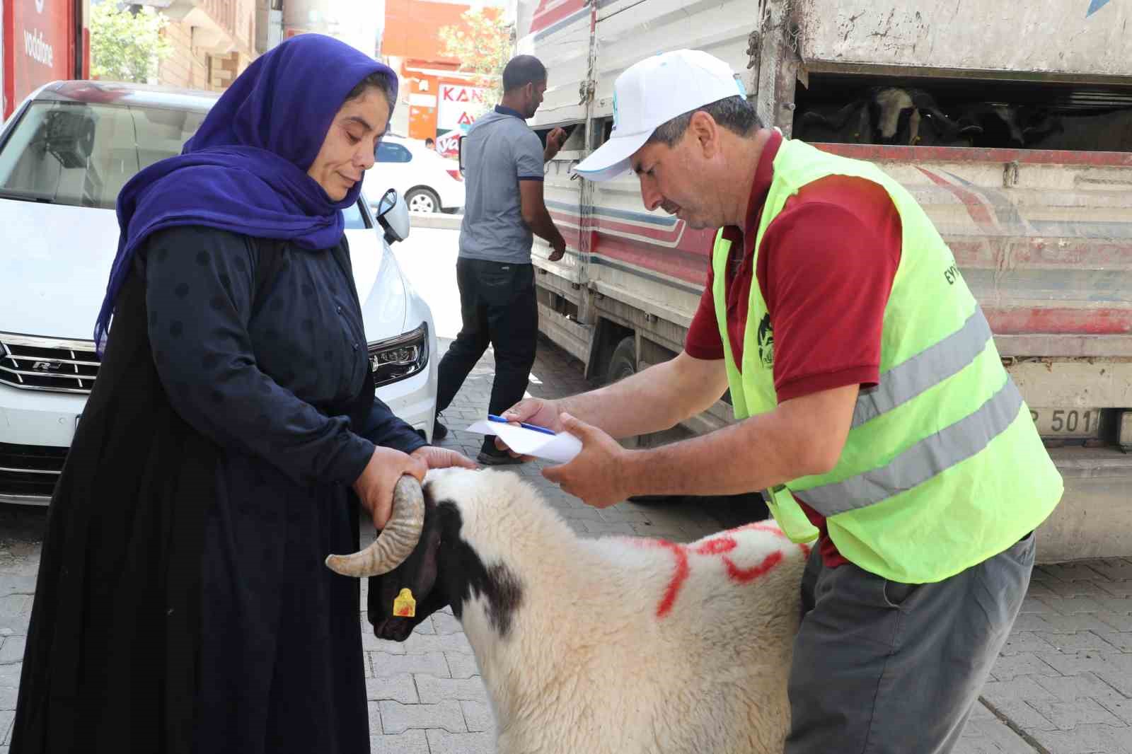 Şanlıurfa’da yetim ailelere canlı kurbanlık dağıtıldı