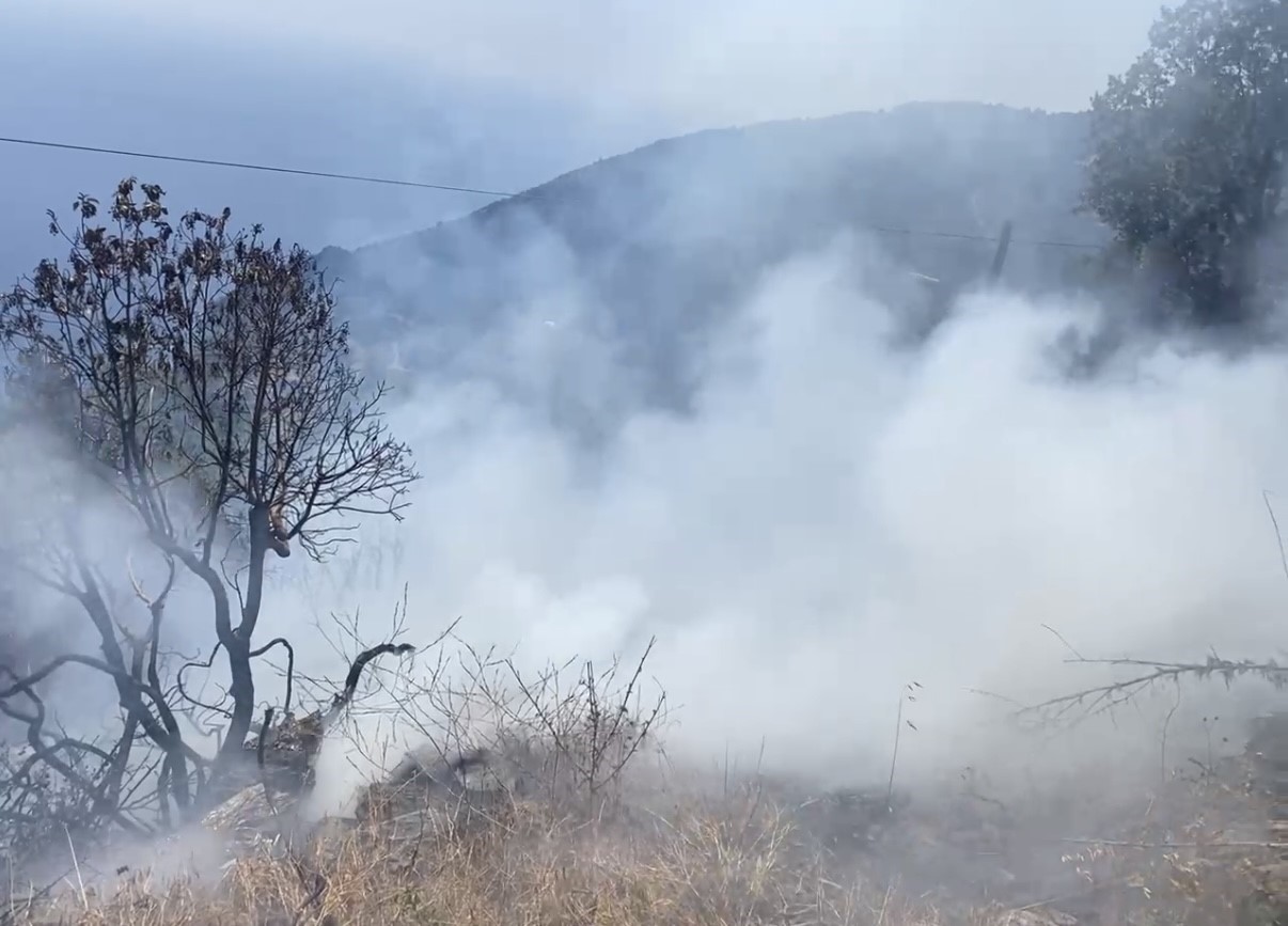 Bahçe yangını büyümeden söndürüldü
