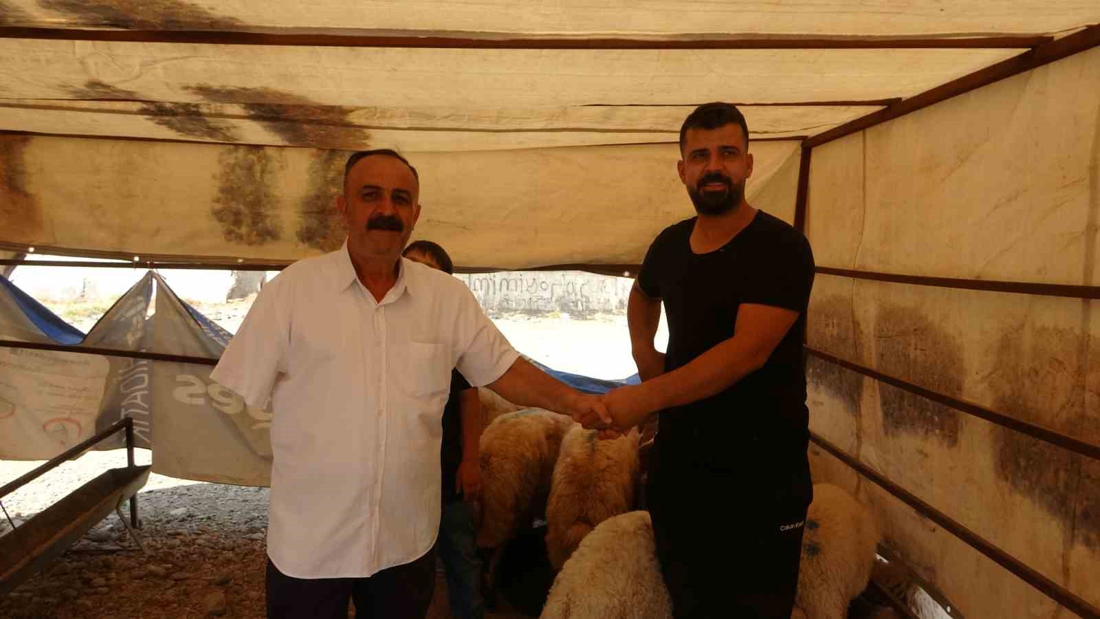 Batman’da kurbanlık satışlarında yoğunluk sürüyor