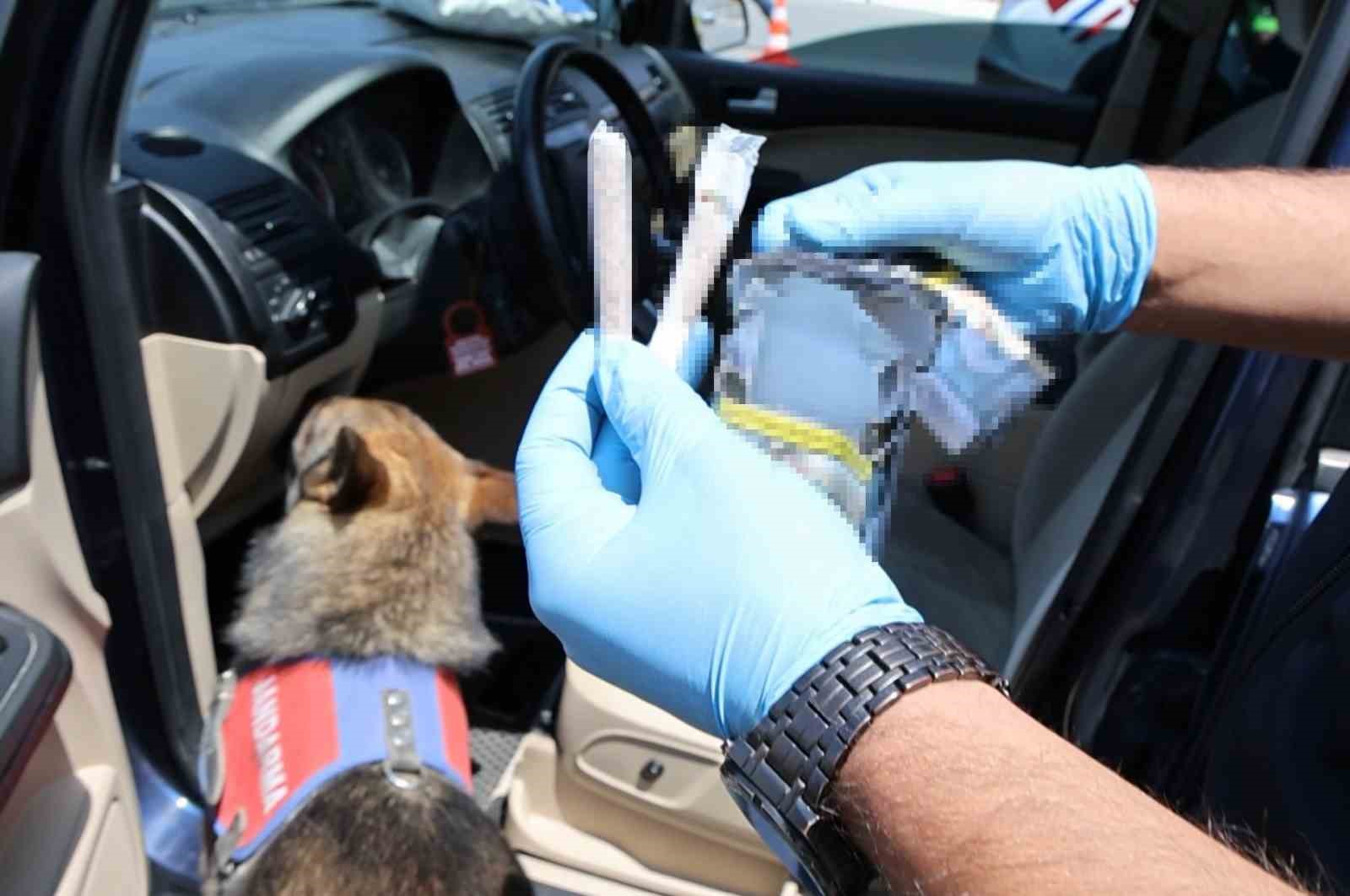 Koklayıp bulduğu uyuşturucuyu patisiyle b&ouml;yle &ccedil;ıkarttı
