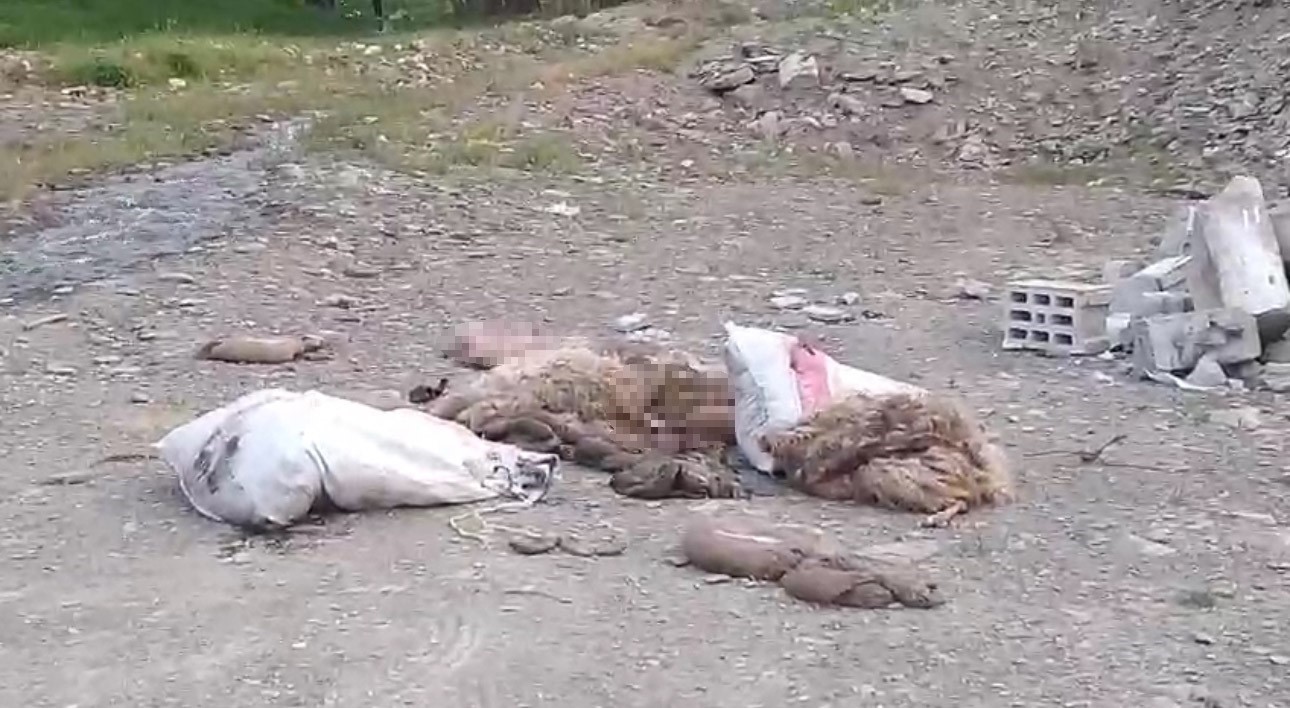 Y&uuml;ksekova&rsquo;da sakatatların yol kenarına atılmasına tepki
