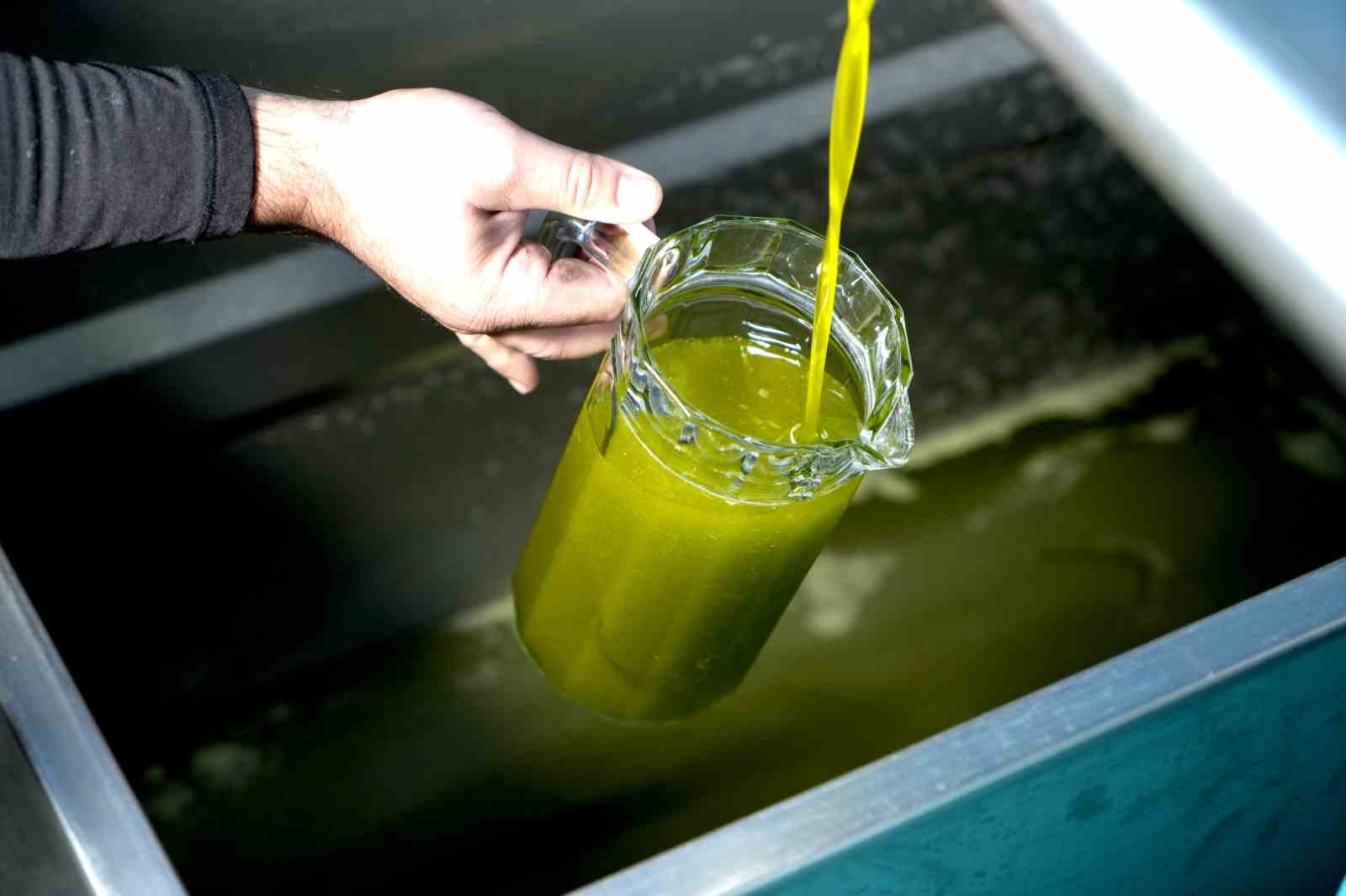 Sıcaktan bunalanlara serinlemek i&ccedil;in zeytinyağı &ouml;nerisi
