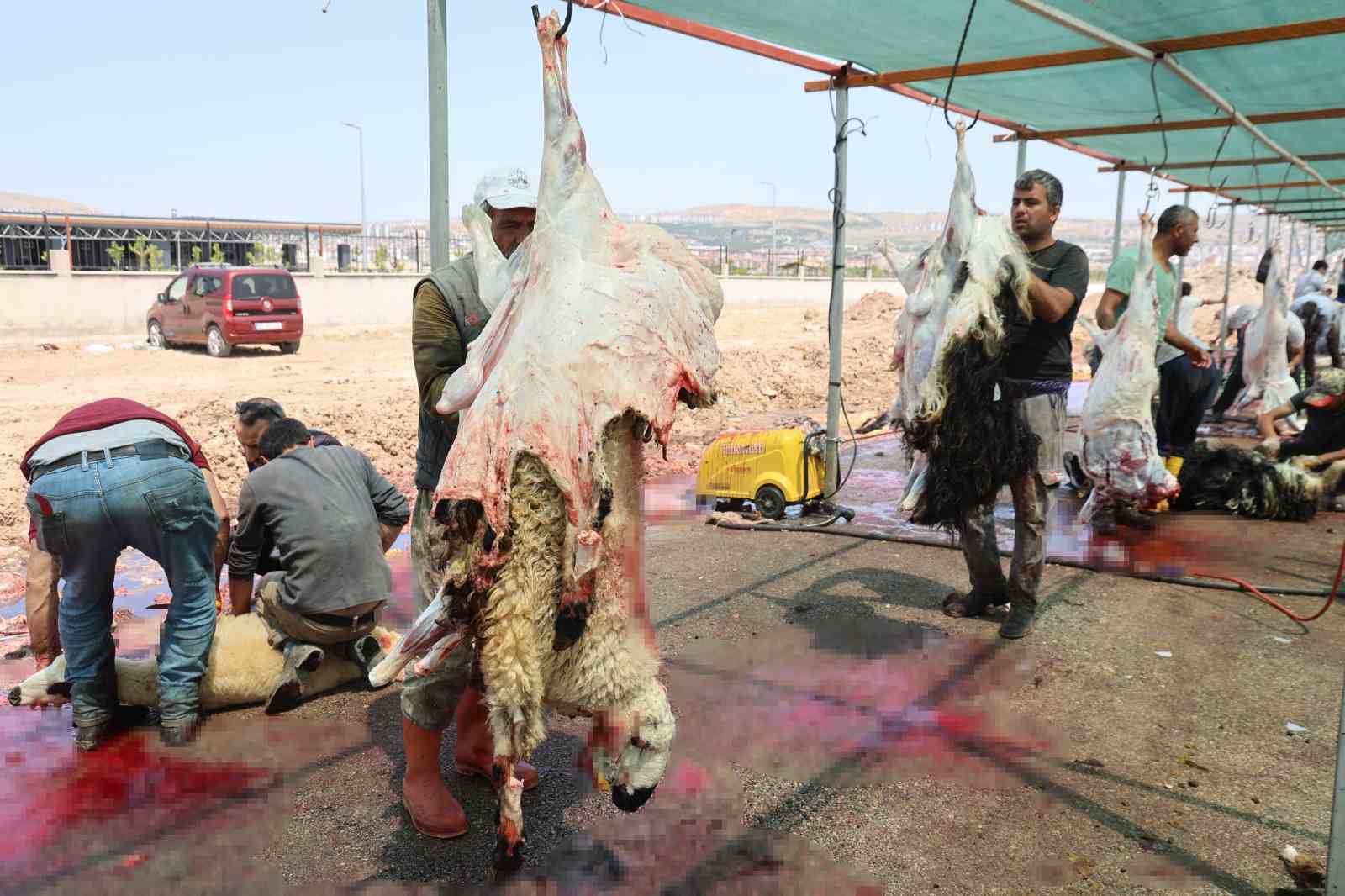 Elazığ’da bayramın üçüncü günü de kurban kesimi devam etti