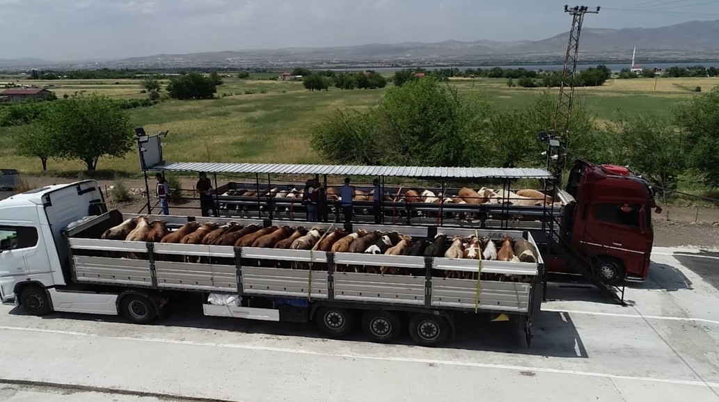 Bakan Yumaklı: "Hayvanlarını satmak i&ccedil;in kurban pazarlarına sevk edemeyen &uuml;reticilerimizin, ellerindeki kurbanlıkları Et ve S&uuml;t Kurumu olarak biz alacağız"
