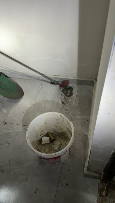 Elazığ&rsquo;da apartmanda g&ouml;r&uuml;len yılan paniğe neden oldu
