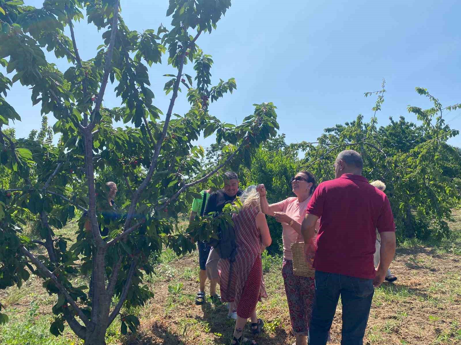 Yeşilçam Yıldızı Savaş’tan nostaljik ziyaret: Geleneksel kıyafetiyle kiraz topladı