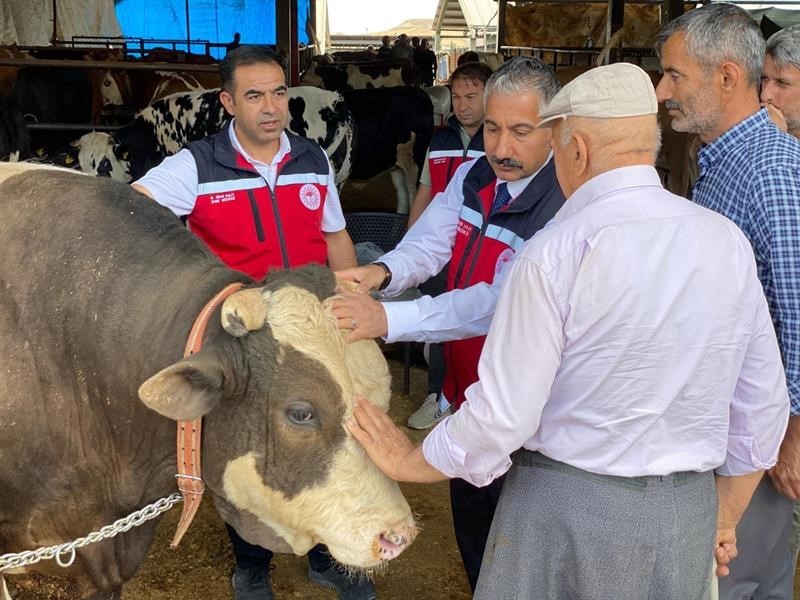 Kurbanlık hayvan satışı ve nakliyesi sıkı denetimde
