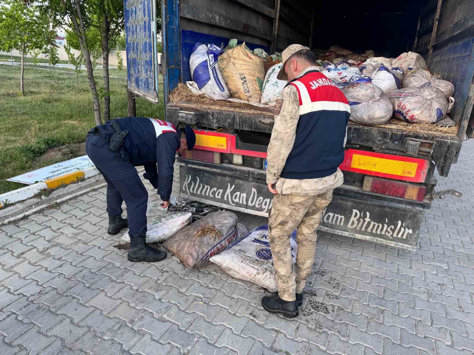 Van’da 19 ton 200 kilo inci kefali balığı ele geçirildi