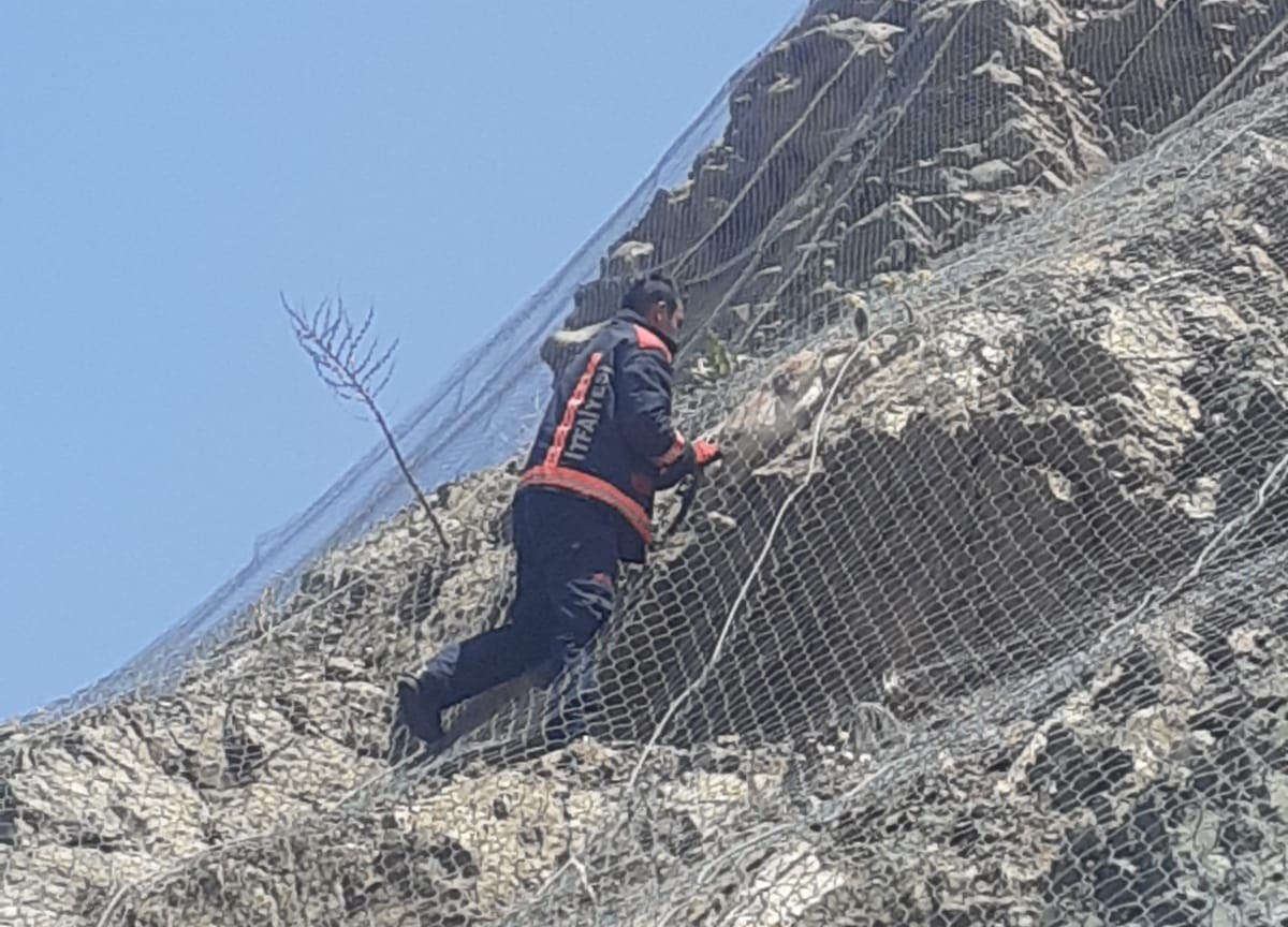 Malatya’da ağa takılan 2 yaban keçisi kurtarıldı