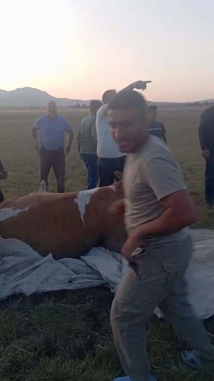 Arin Gölü’nde çamura saplanan inek kurtarıldı