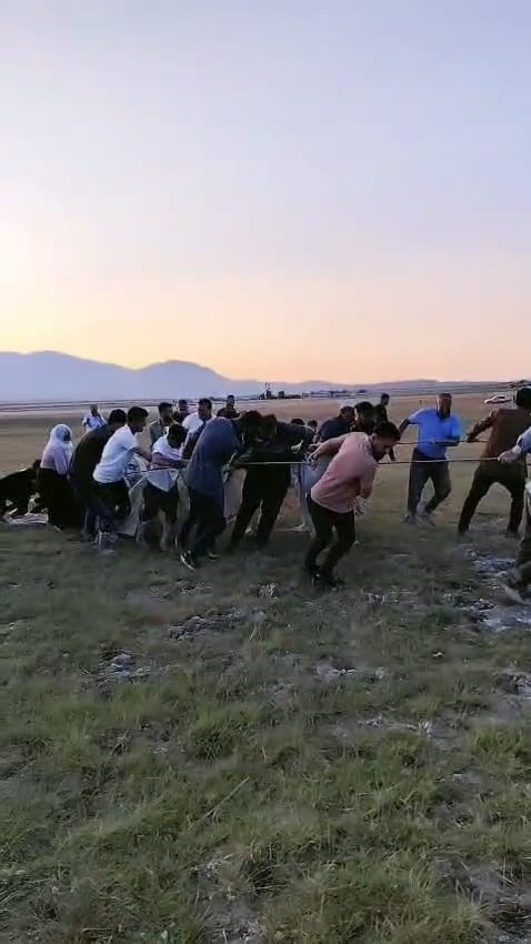 Arin Gölü’nde çamura saplanan inek kurtarıldı