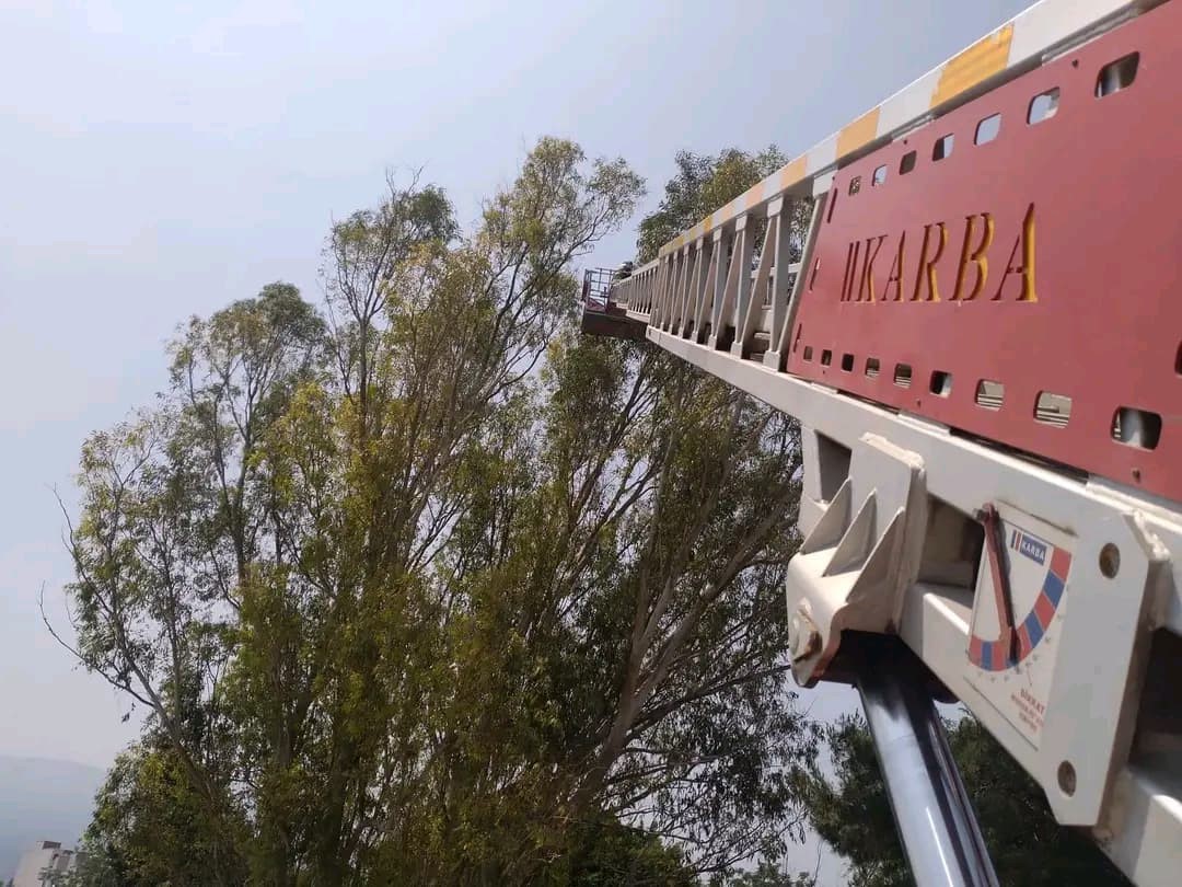 Arsuz&rsquo;da ayağına ip dolaşan karganın yardımında itfaiye yetişti
