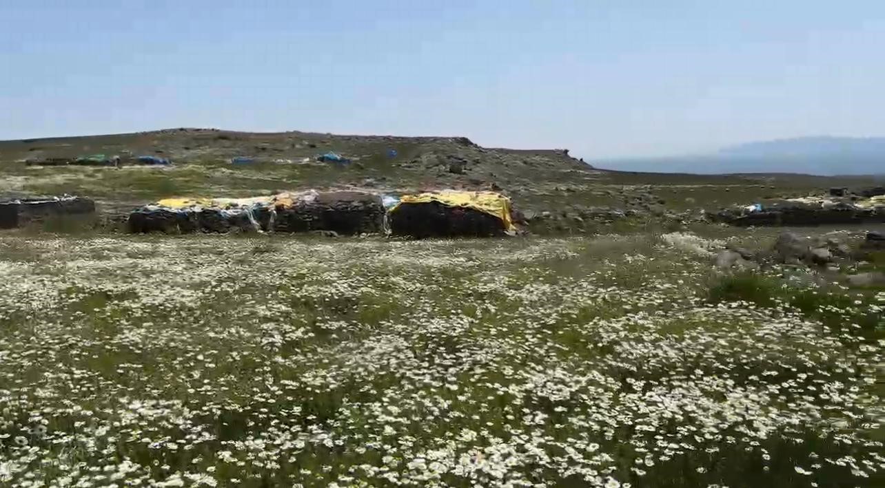 Kars’ta köylüler yaylaları imece usulü hazırlıyor