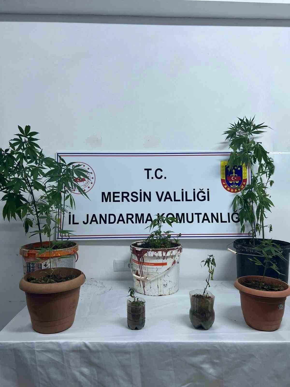 Mersinde uyuturucu operasyonu: 4 pheli yakaland
