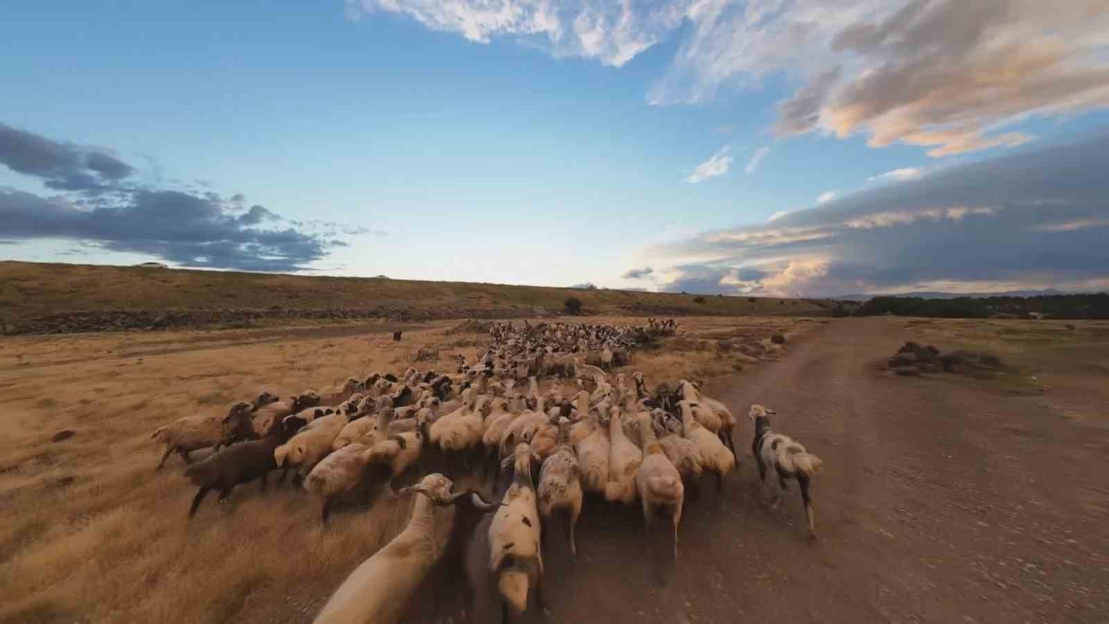 Devege&ccedil;idi Barajında renkli g&ouml;r&uuml;nt&uuml;ler
