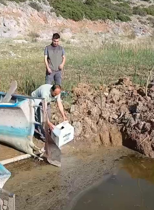 Isparta&rsquo;da yaralı bulunan bahri kuşu tedavisinin ardından doğaya salındı
