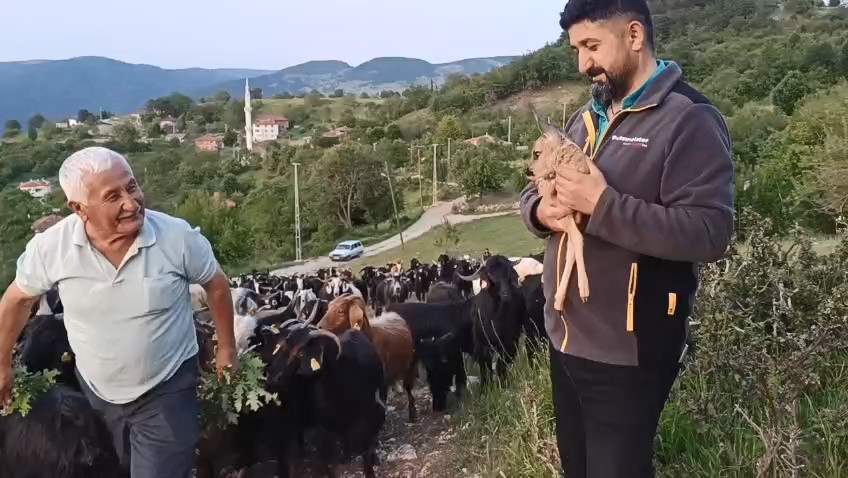 Ormanda bulunan ceylan, ke&ccedil;i s&uuml;t&uuml;yle hayata tutundu
