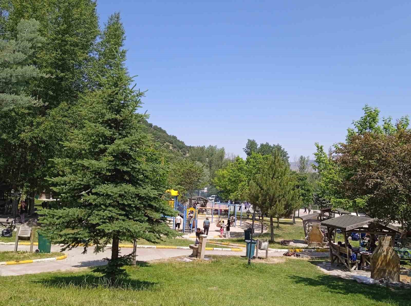 Bayramın son g&uuml;n&uuml;nde mesirelik alanlarda piknik&ccedil;iler ile doldu
