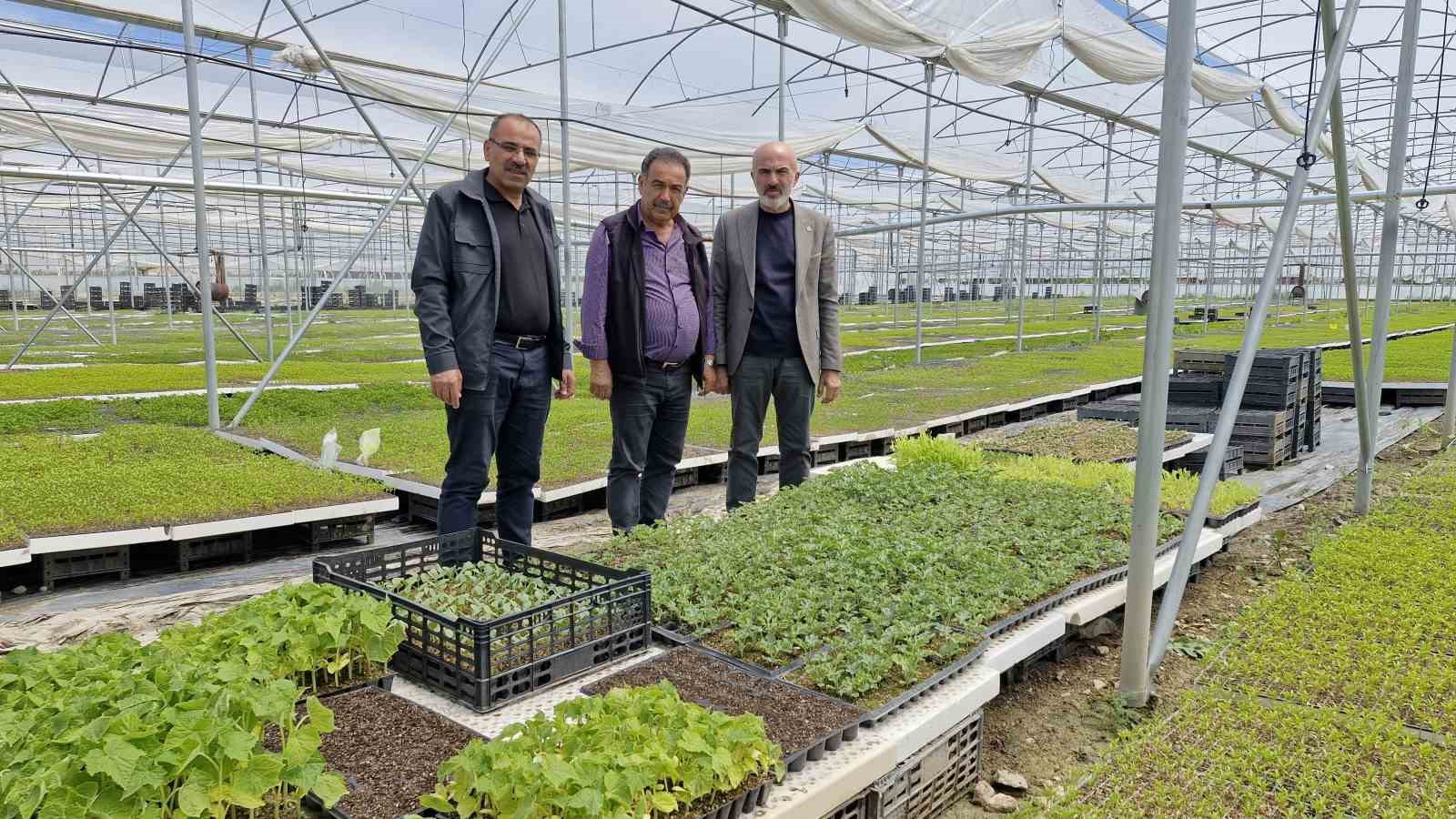 Karaman’da bir çiftçi kurduğu serada 5 milyon fide üretiyor