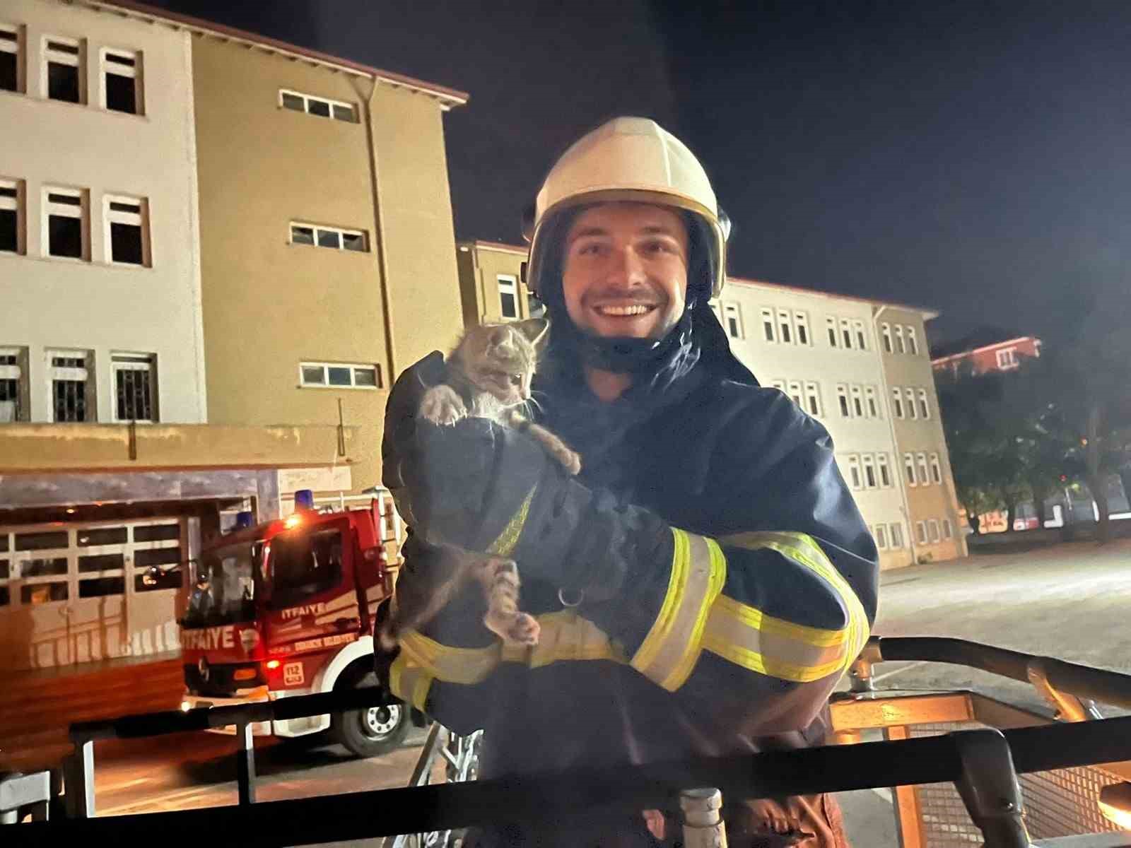 Okulun &ccedil;atısında mahsur kalan yavru kedi, itfaiye ekiplerince kurtarı
