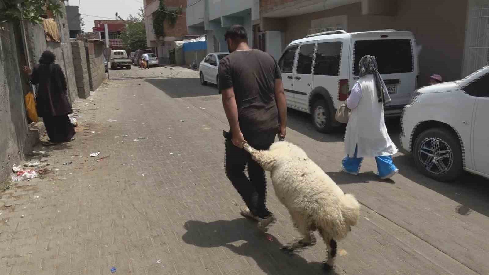 Diyarbakır’da bayramın son gününde kurbanlık yoğunluğu
