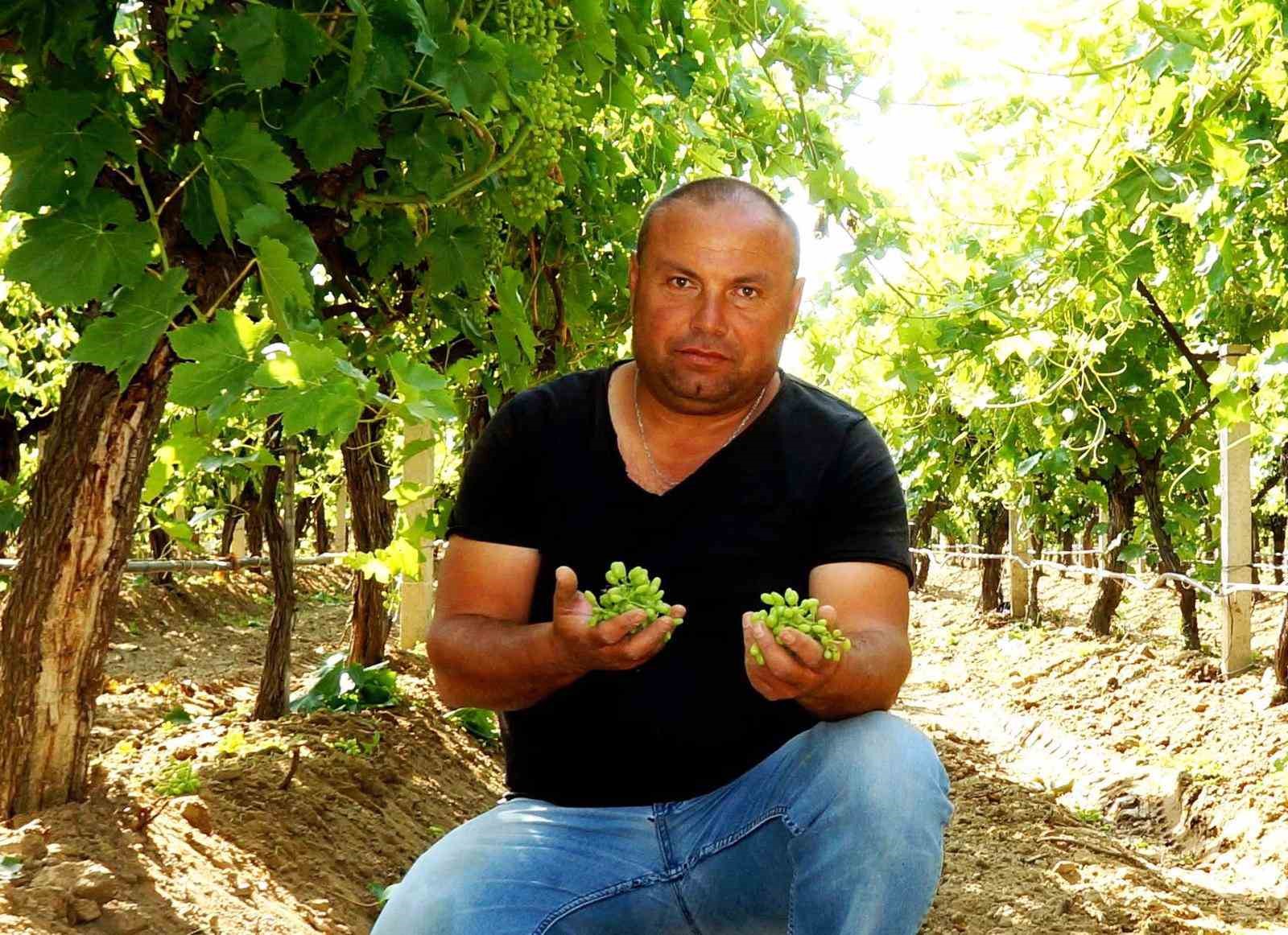 Standart salkım için Sarıgöl’de yoğun çalışma

