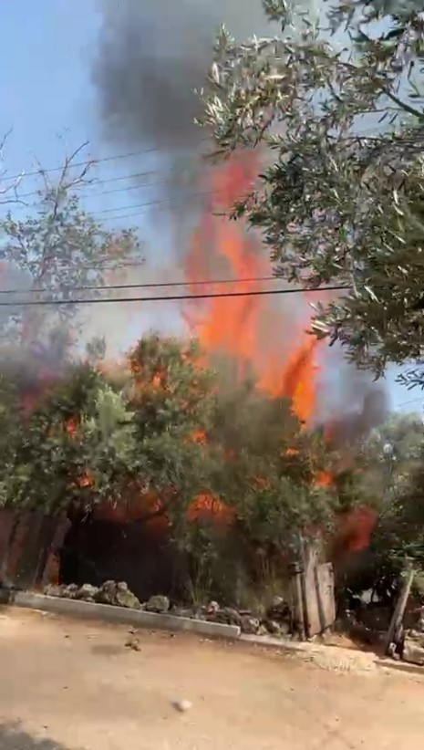 Antalya’da mangal keyfi kabusa dönüyordu
