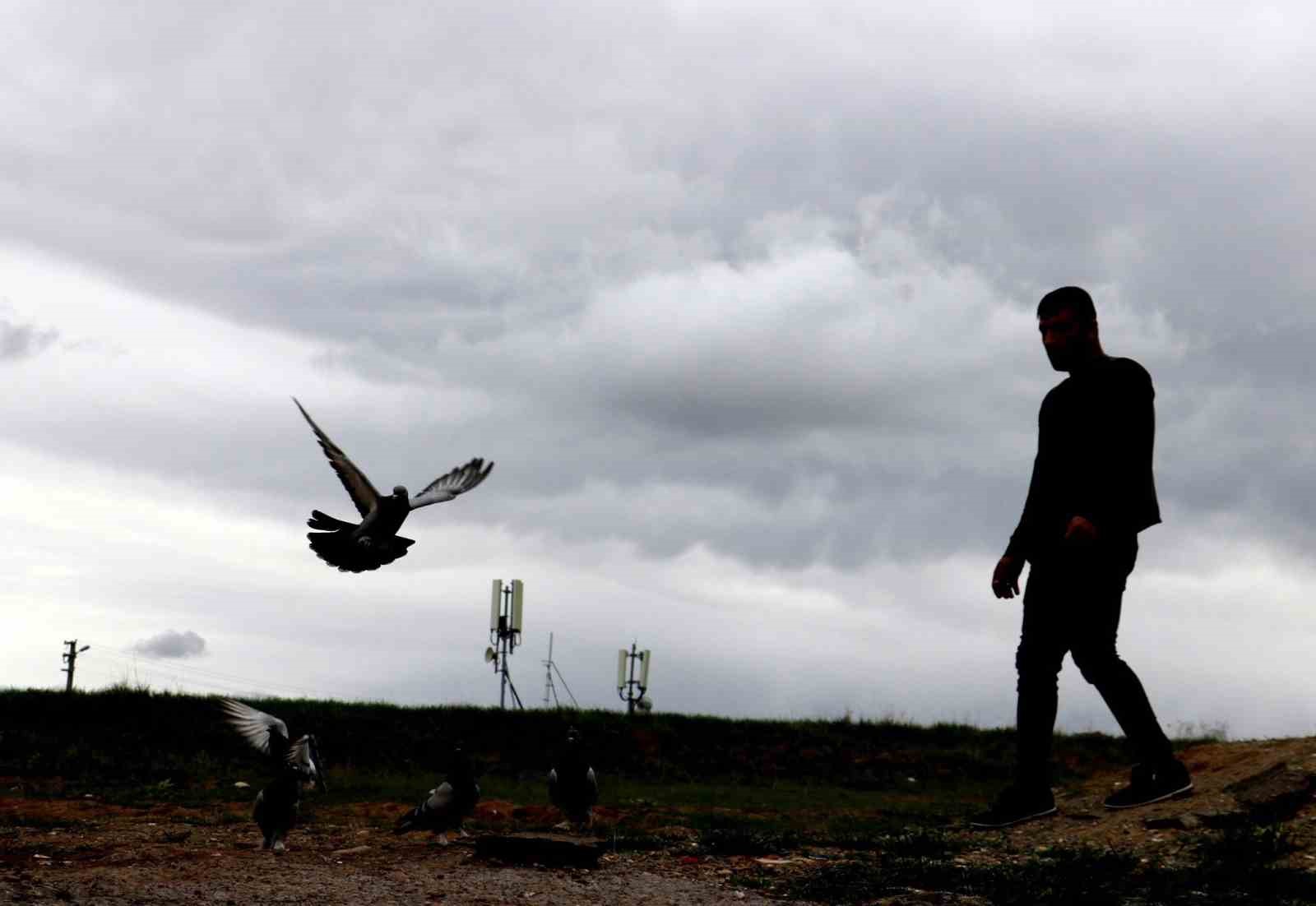 Her gün kümeslerinin başına gelerek kuşlarıyla yakından ilgileniyorlar