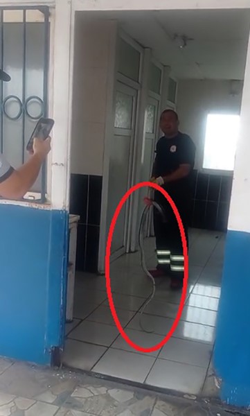 Fabrikaya giren yılanı itfaiye ekipleri yakaladı