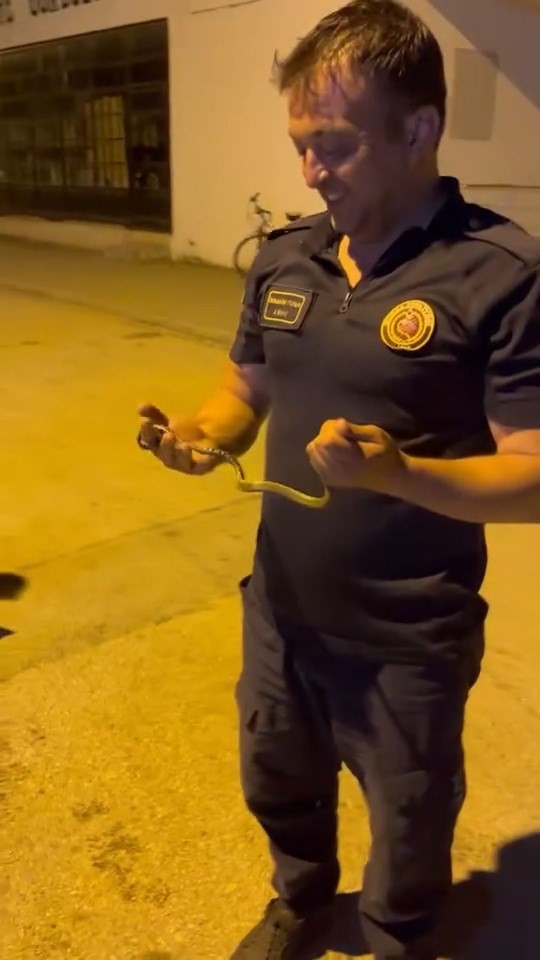 Motosikletin içine giren yılanı tek hamlede çıkardı