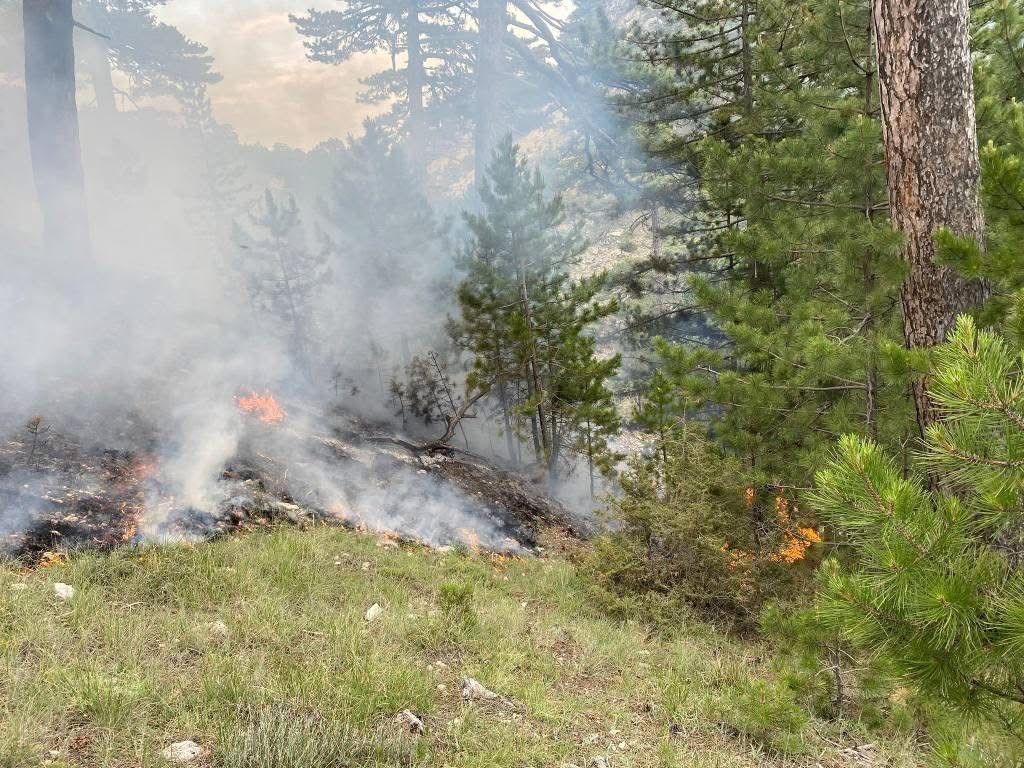 Yıldırım düşmesi sonucu çıkan orman yangını büyümeden söndürüldü